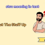 stsu meaning in text