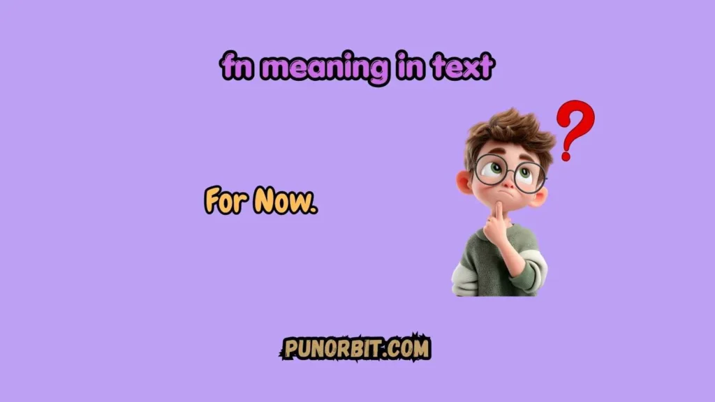 fn-meaning-in-text