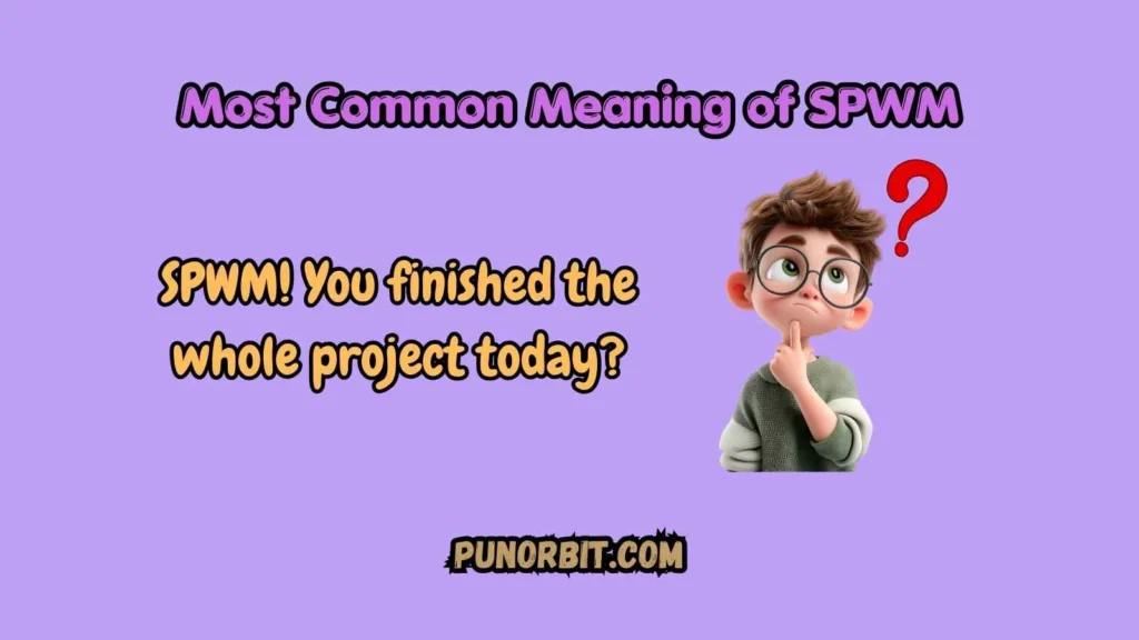 Most Common Meaning of SPWM