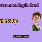 ws meaning in text